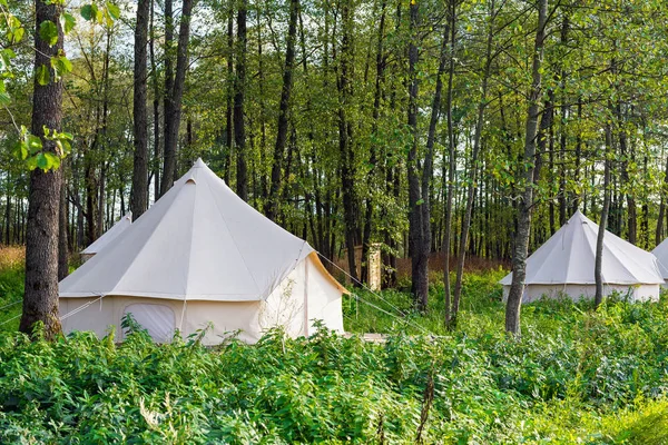 Detailed Look On Tent Rentals